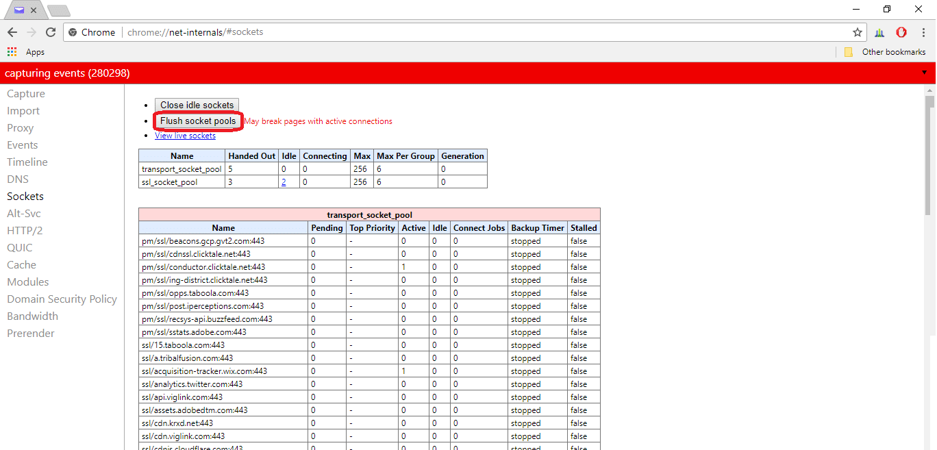 chrome net internals socket