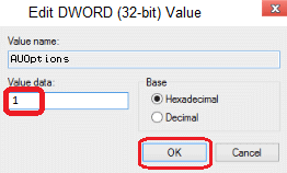 dword 32 bit 1