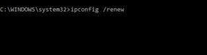 enter ipconfig renew