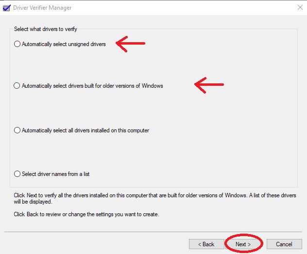 Review Driver Verifier Manager Selection