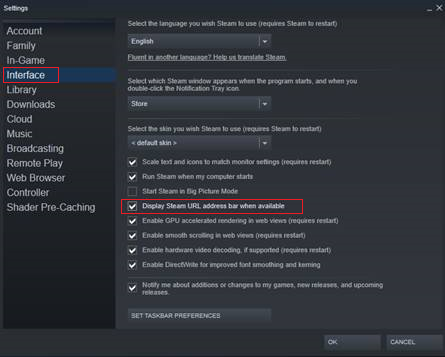 Display Steam URL Address Bar is marked checked