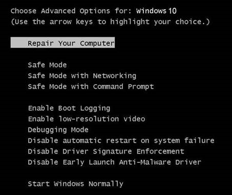 Advanced Boot Options