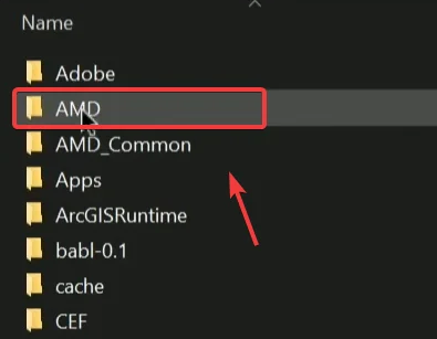 amd folder