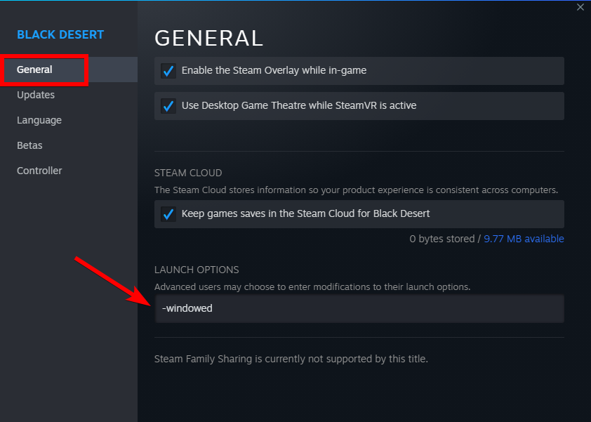 steam game windowed launch options