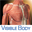 3D Muscular Premium Anatomy Icon