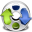 4Media FLV to MP4 Converter 6