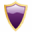 AnyProtect Icon