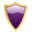 AnyProtect Scanner Icon