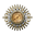 AVCWare DVD Creator Icon