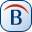 Belarc Advisor 8.5a Icon