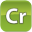 Credit Icon