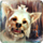 Fierce Tales The Dog's Heart Icon