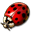 Island Adventure Duo Bundle Icon