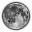 Journey to the Moon Icon
