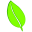 Leaf By Bendigo Design Icon