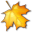 Maple Professional