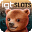 Masque IGT Slots Wild Bear Paws