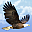 Mountain Waterfall 3D Screensaver and Animated Wallpaper 1.0 Icon