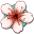 Nancy Drew: Shadow at the Water's Edge Icon