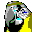 Parrot 1.0.20Screen Saver ability