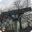 Pineview Drive Demo Icon
