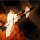 Raptor Icon
