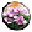Realtime Landscaping Plus 5