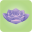 Viridi Icon